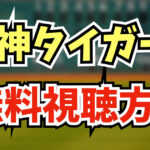 【2024年版】阪神タイガースの試合を無料視聴する方法5つを徹底解説します！